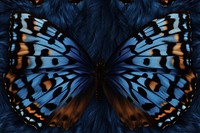 Butterfly background butterfly animal backgrounds.