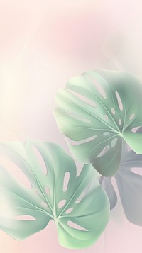 Blurred gradient Monstera leaves backgrounds nature green.