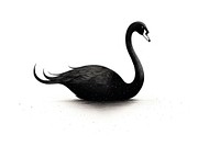 Black swan animal bird beak.