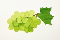 Green grape grapes plant leaf.
