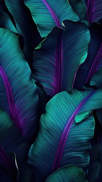 Neon banana leaf wallpaper plant blue backgrounds.