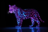 Neon full body leopard wildlife animal mammal.