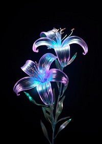 Neon lily flower light plant.