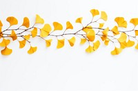 Yellow ginkgo tree border plant leaf white background.