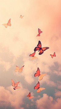 Butterflies flying butterfly animal.