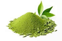 Green tea plant herbs leaf.