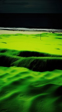 Photography of beach green landscape outdoors.
