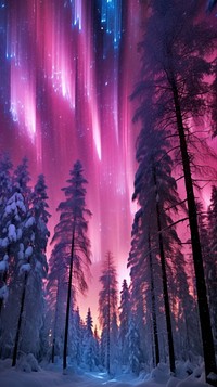 Pink northern lights glister landscape outdoors nature.