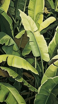 Wood block print illustration of Banana leaf outdoors nature banana.
