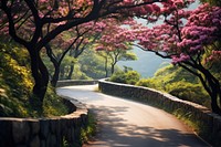 Winding road in spring landscape outdoors blossom.