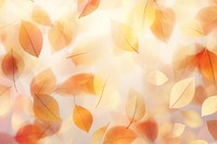 Autumn leaf shape pattern bokeh effect background backgrounds abstract outdoors.