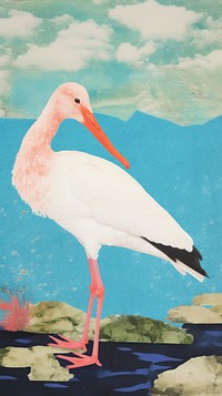 Avocet animal stork bird.