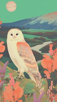 Barn owl painting outdoors animal.
