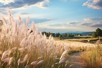 Natural panoramic landscape grass grassland.