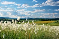 Natural panoramic countryside summer landscape grass outdoors.
