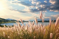 Natural panoramic countryside summer landscape grass outdoors.