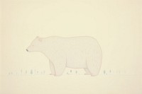 Bear drawing animal mammal.