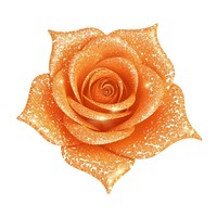 Orange rose icon flower petal plant.