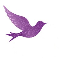 Purple bird icon flying white background hummingbird.