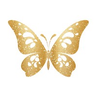 Gold butterfly icon animal insect white background.