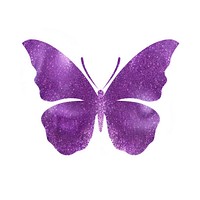 Purple butterfly icon animal petal white background.