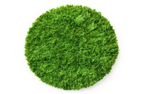 Grass circle plant grass.
