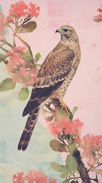 Honey buzzard painting animal bird.