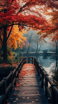 Autumn landscape outdoors scenery.