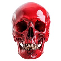 Red skull photo white background photography.