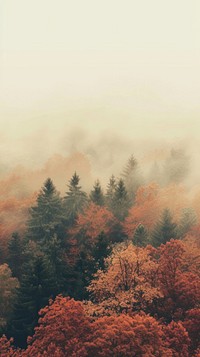 Autumn scenery photo outdoors nature forest.