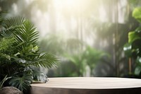 Plant background furniture outdoors nature.