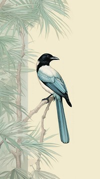 Magpie drawing animal sketch.