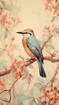 Puffbirds painting drawing animal.