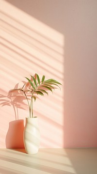 Plant plant shadow vase.
