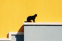 Cat over yellow wall mammal animal shadow.
