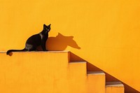 Cat over yellow wall animal mammal shadow.