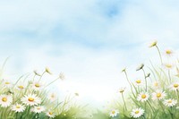 Watercolor illustration daisy meadow landscape outdoors nature.