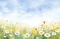 Watercolor illustration daisy meadow grassland landscape outdoors.