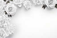 White rose floral border flower backgrounds petal.