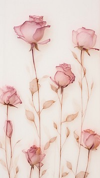 Real pressed pink roses pattern flower petal.