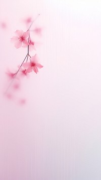 Blossom flower backgrounds cherry.