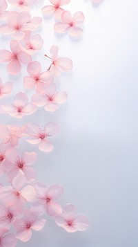 Blossom flower petal backgrounds.