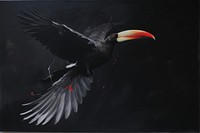 Acrylic paint of toucan flying animal bird beak.