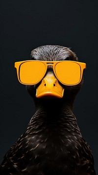 Duck glasses sunglasses animal.