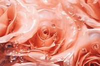 Water texture rose backgrounds flower.