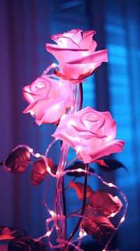Rose neon flower petal plant.