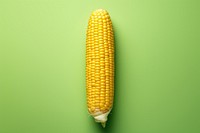 Corn plant food vegetable.