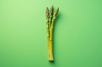 Asparagus asparagus vegetable plant.