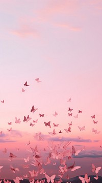 Butterflys in pink aesthetic sky outdoors nature bird.