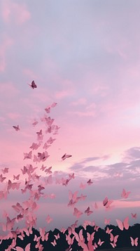 Butterflys in pink aesthetic sky outdoors nature plant.